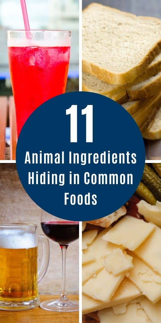 collage consisting a red drink with a straw, slices of bread, a glass of beer and a glass of wine, and slices of cheese, an overlay text reads "11 Animal Ingredients Hiding in Common Foods"