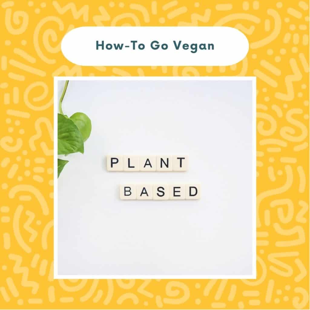 How To Start Eating Vegan (Step-By-Step and Stress-Free)