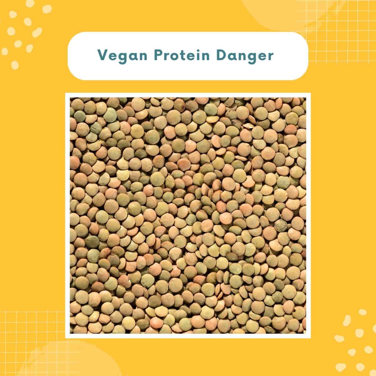 The Hidden Danger in Your Vegan Protein Diet You Need to Know