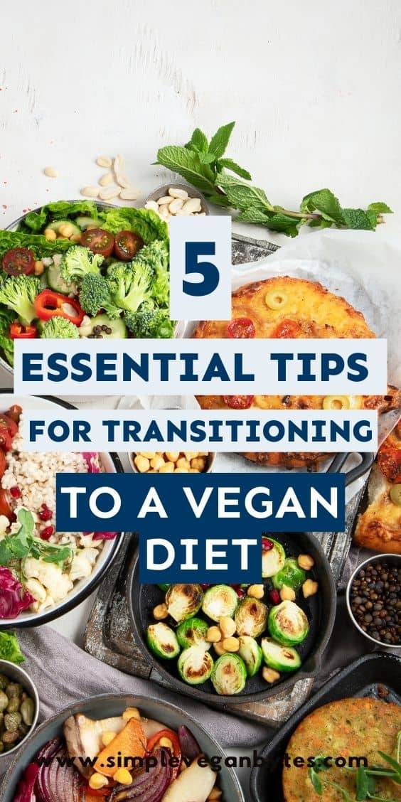 Various vegan dishes including salads, roasted vegetables, and vegetable pizza, with text reading "5 Essential Tips For Transitioning To a Vegan Diet"