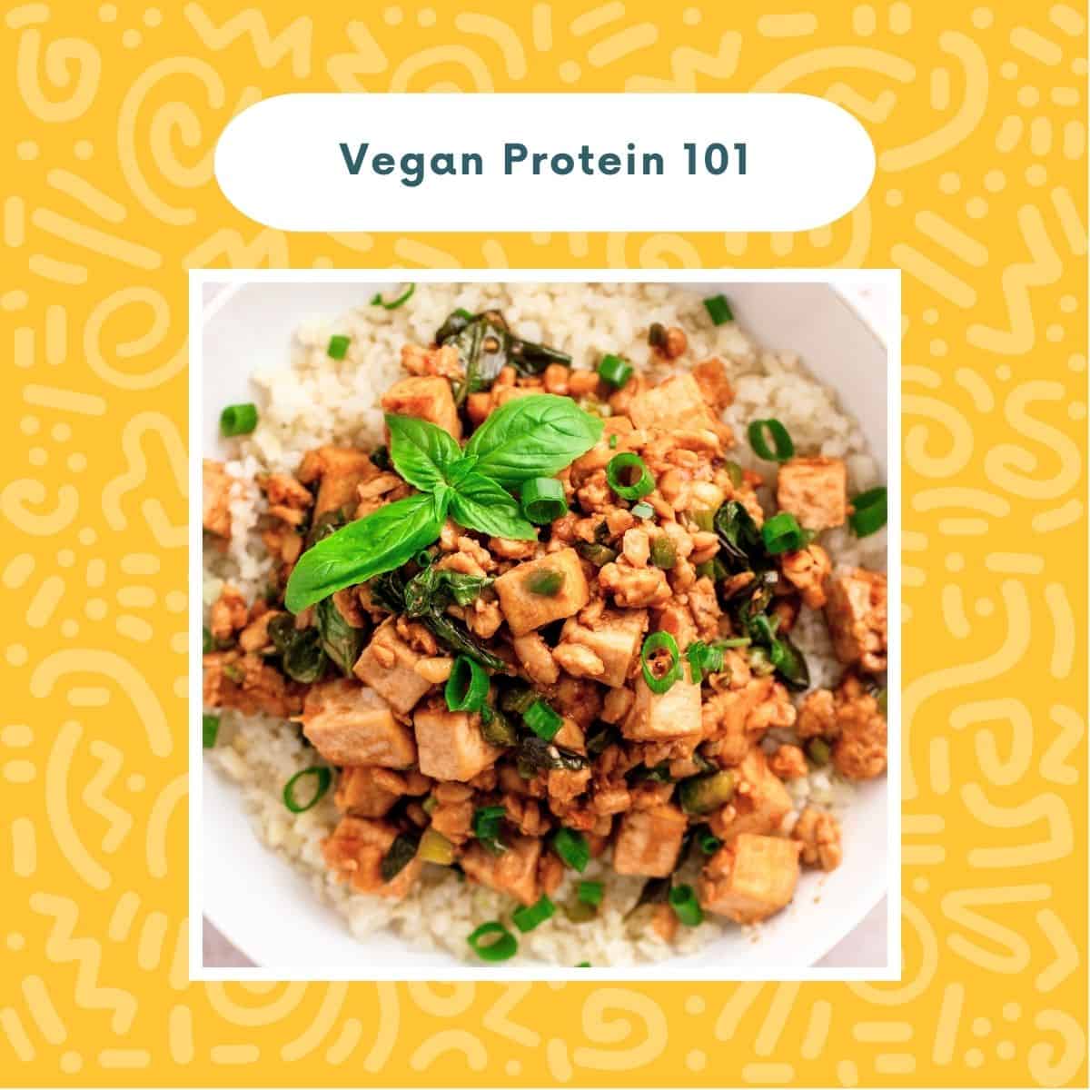 Vegan Protein 101: How to Get Enough Without Meat