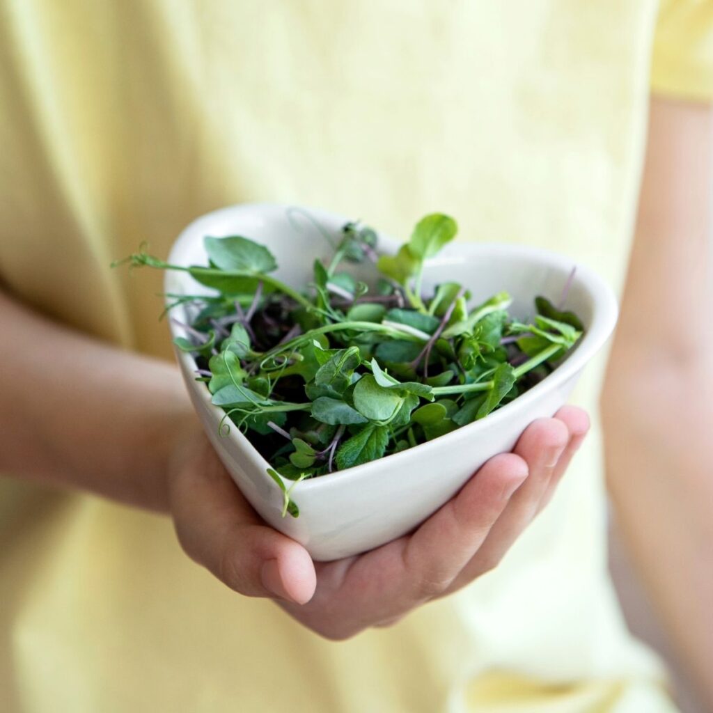 Person holding a bowl of fresh leafy greens and microgreens.