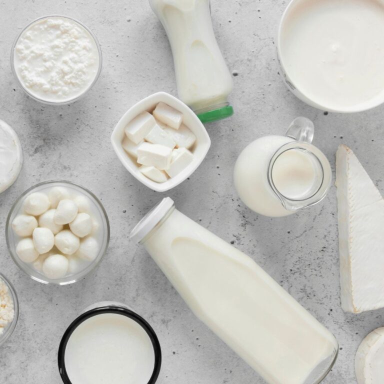 Assorted dairy products, including milk, yogurt, cheese, and mozzarella, arranged on a light gray surface.