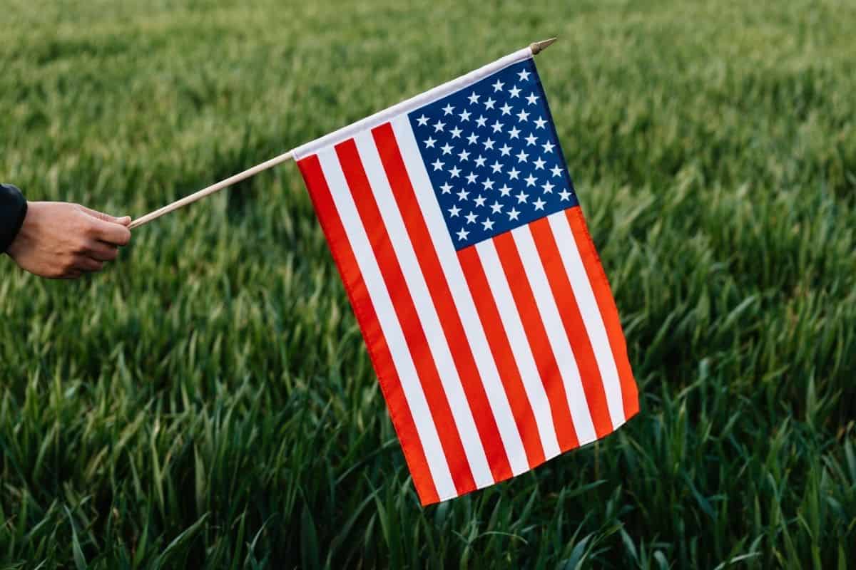 A hand holding the Unitetd States flag in front of a grassy field