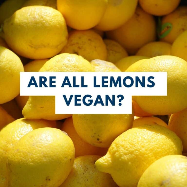 A pile of fresh yellow lemons