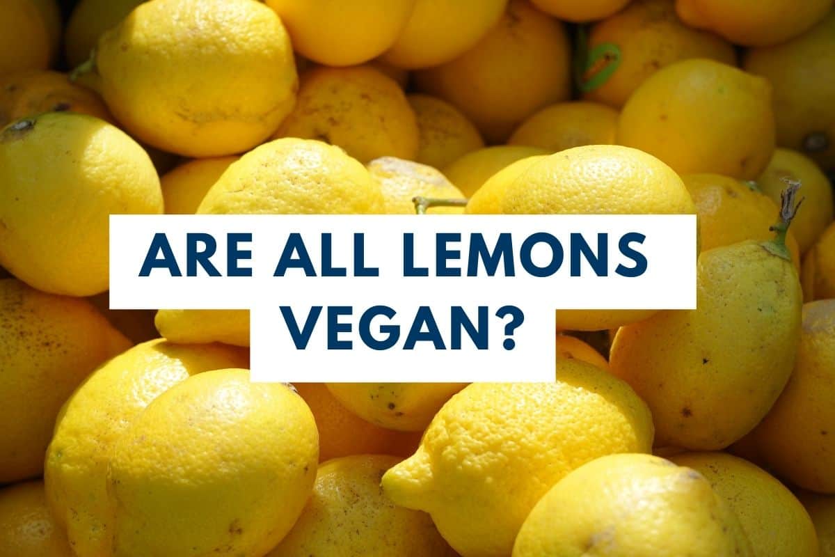 A pile of fresh yellow lemons