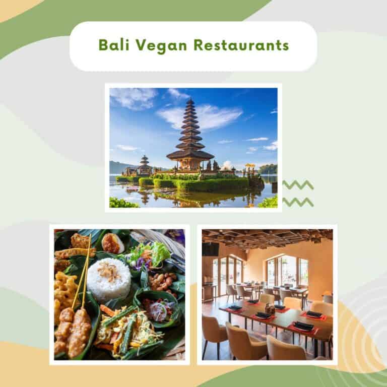 25 Best Vegan Restaurants In Bali: A Foodie’s Guide For Plant-Based Travellers