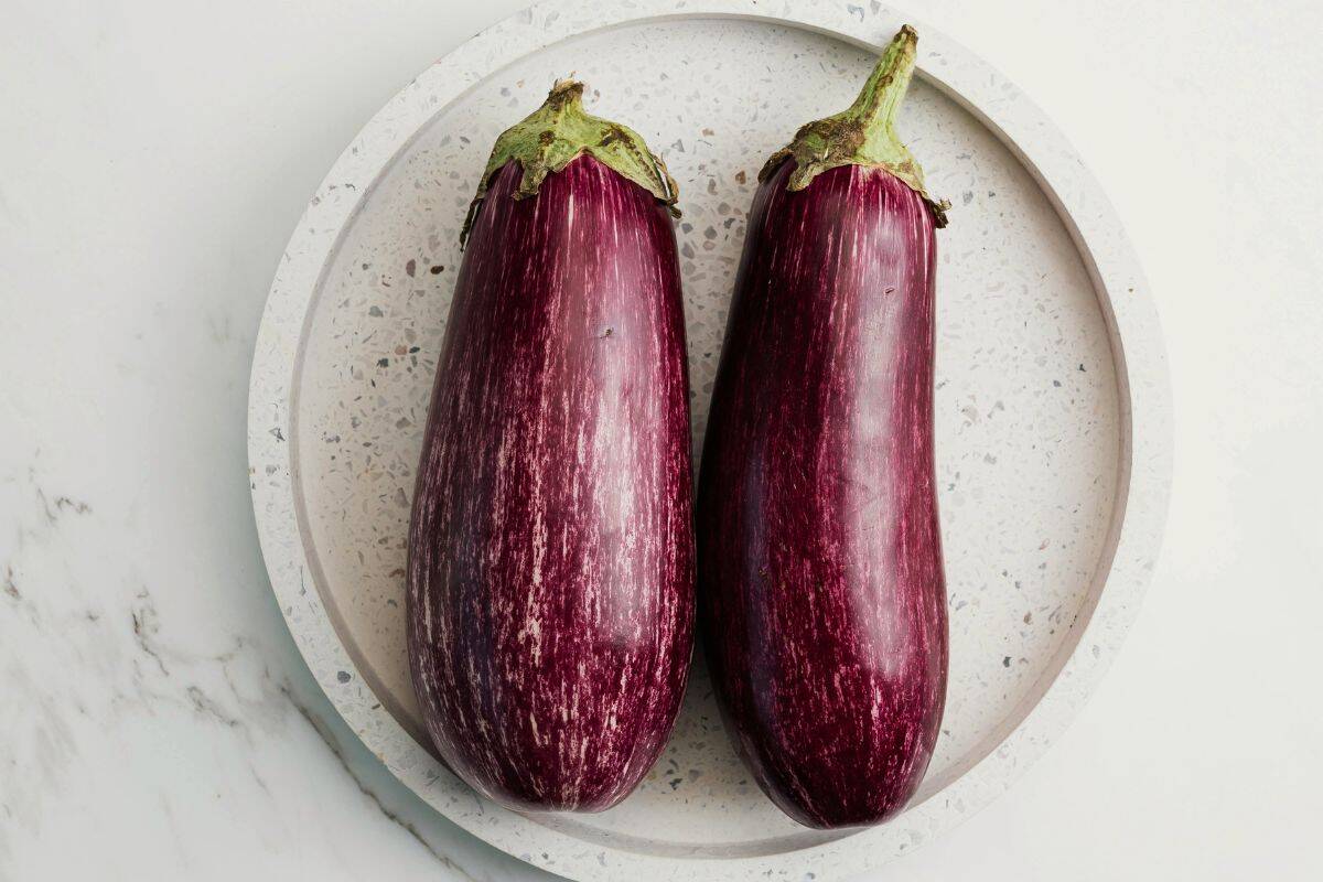 Two whole purple eggplants on a light plate background