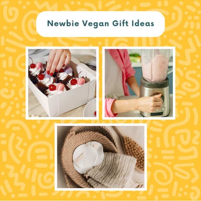 Collage of vegan cupcakes, blender smoothie, and cozy knit blanket