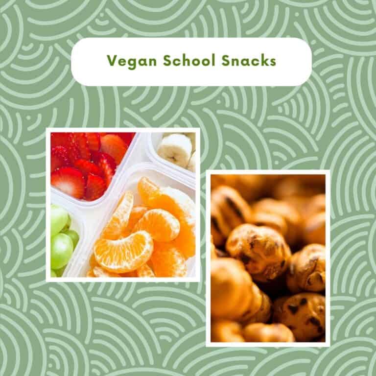 Vegan School Snack Ideas