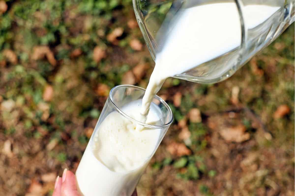 Plant-based milk being poured from a glass pitcher into a clear drinking glass outdoors.