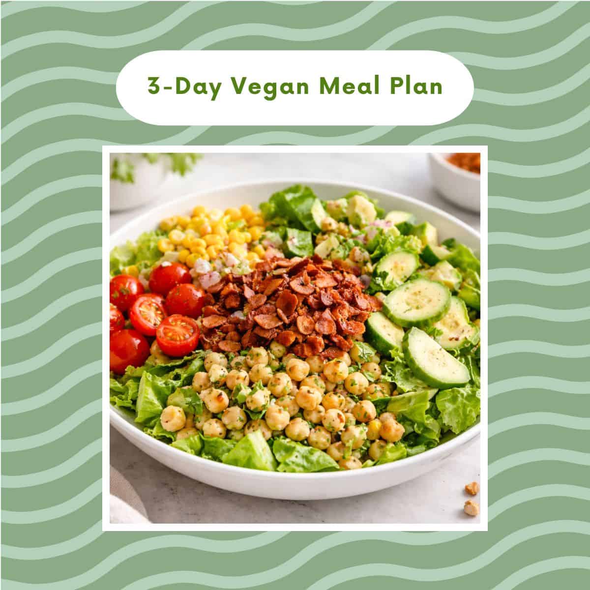 3-Day Vegan Meal Plan for Beginners
