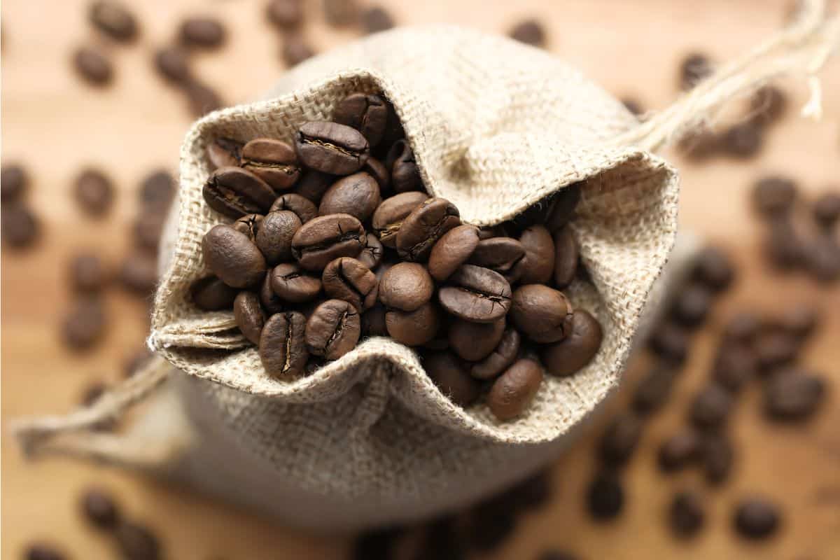 Fresh roasted coffee beans in a cloth bag for specialty coffee gifts