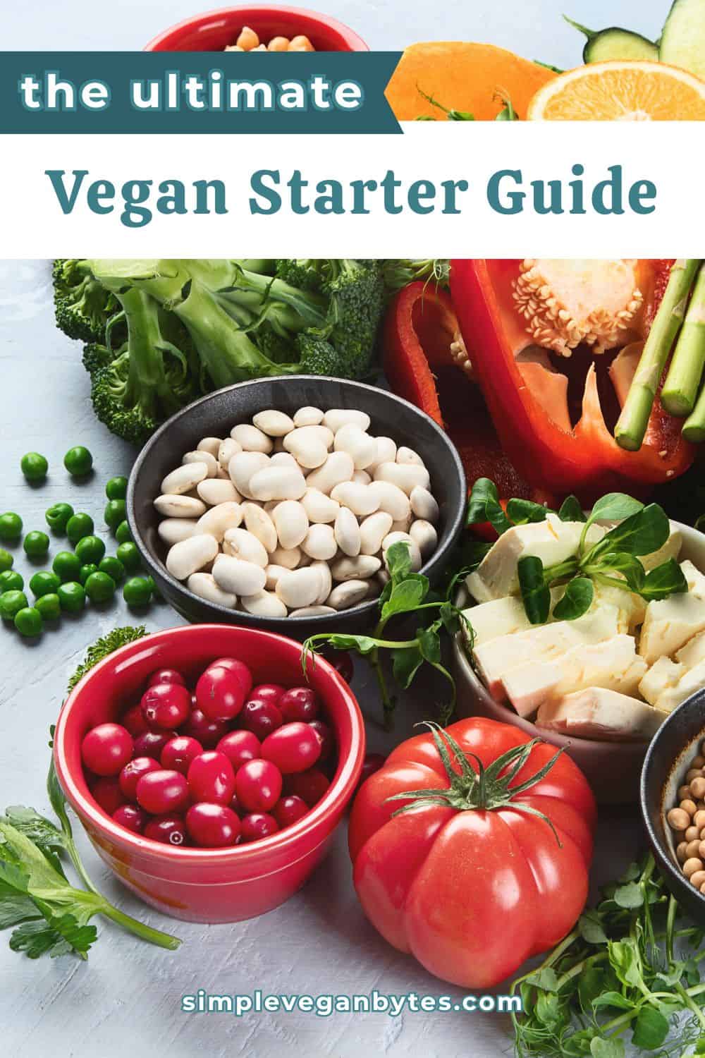 Guide To Vegan Tutorial How To Start A Vegan Diet: Simple Grocery List, Meal Plan And Protein Guide