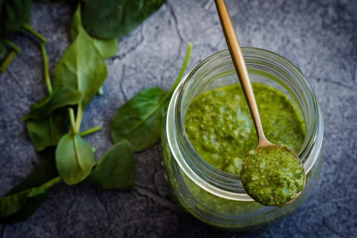 Spoon dipping into jar of homemade green pesto sauce