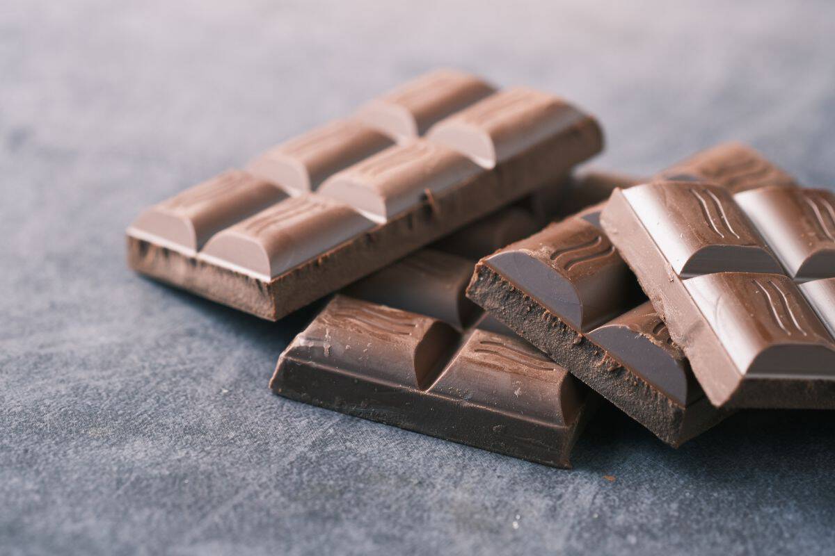 Pieces of milk and dark chocolate on a gray surface