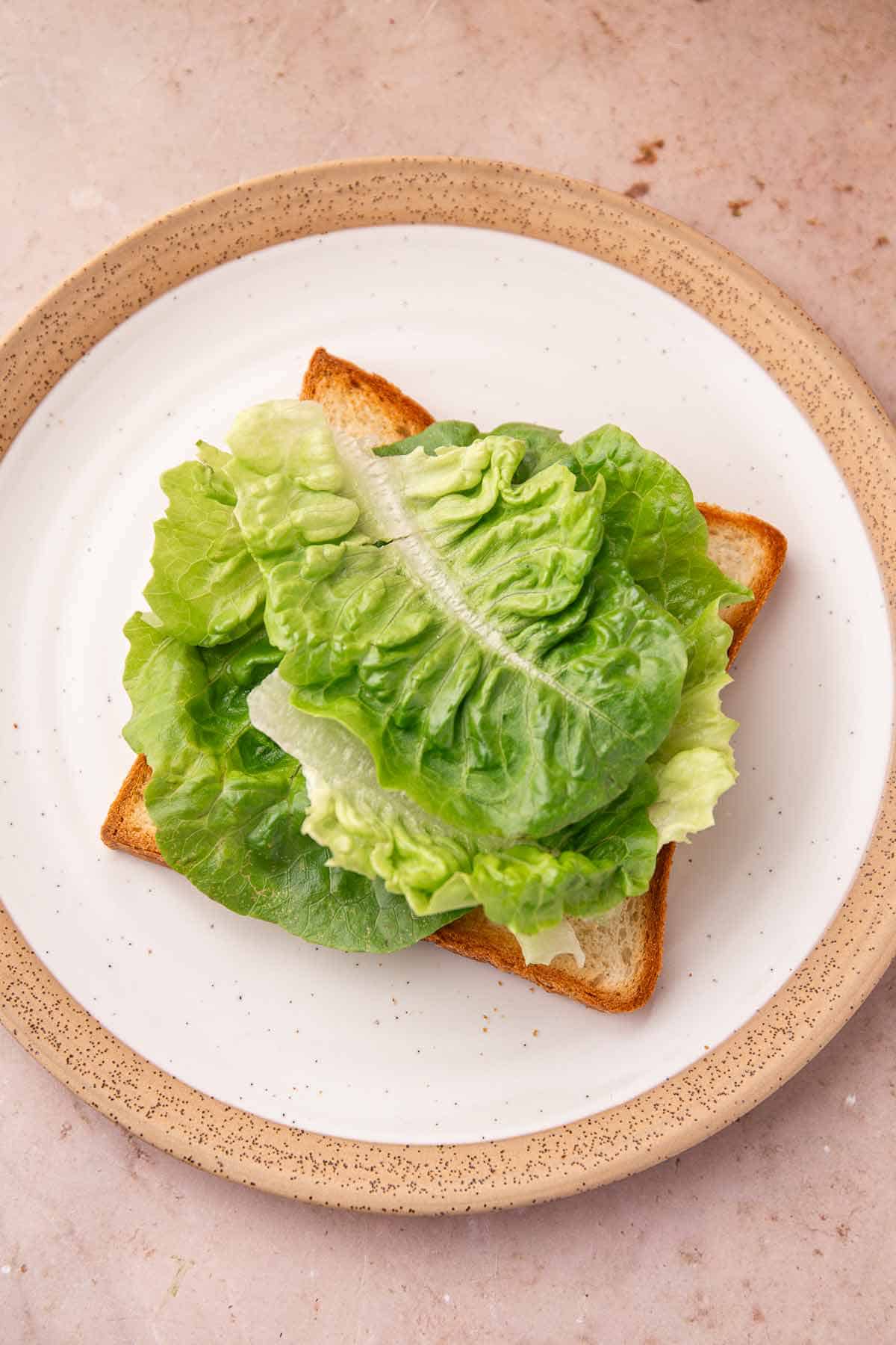 Toast topped with crisp butter lettuce on a white plate
