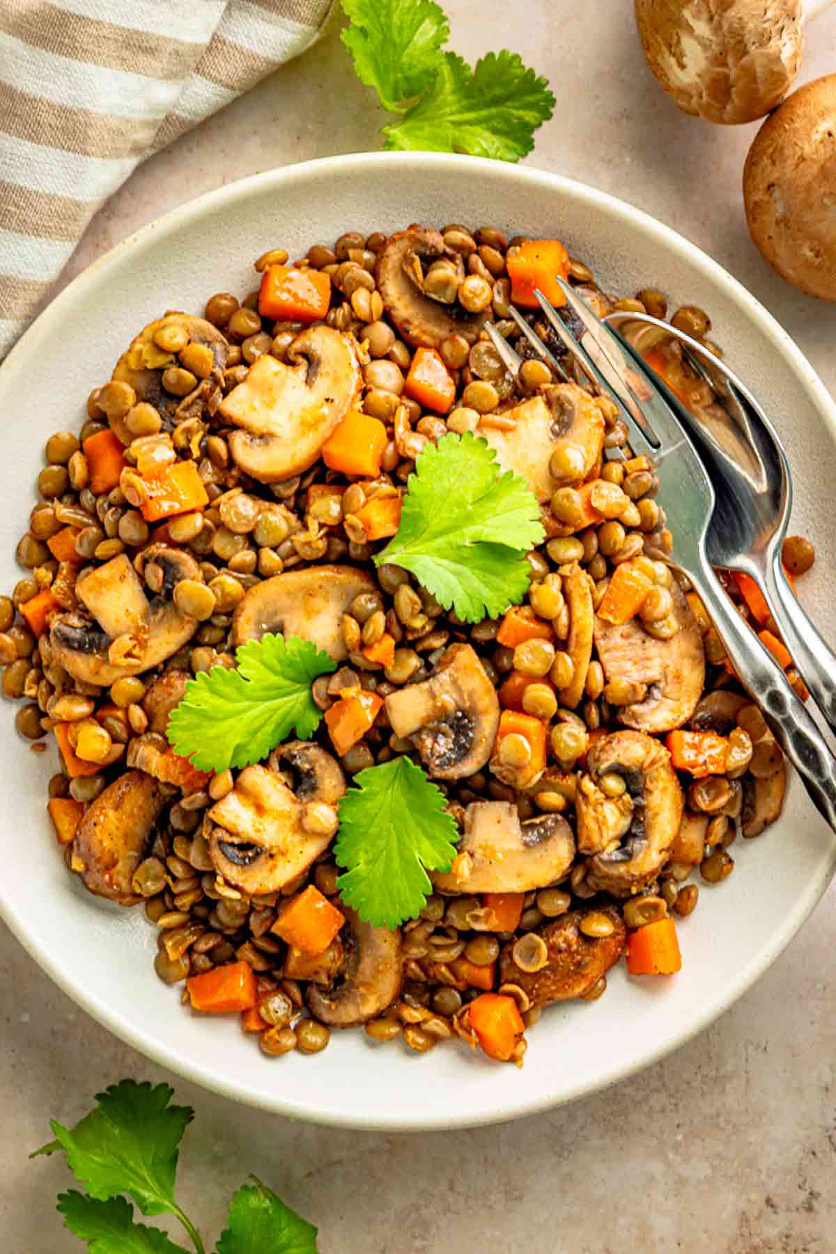 Bowl of lentils and mushrooms with carrots, topped with fresh cilantro and served with forks