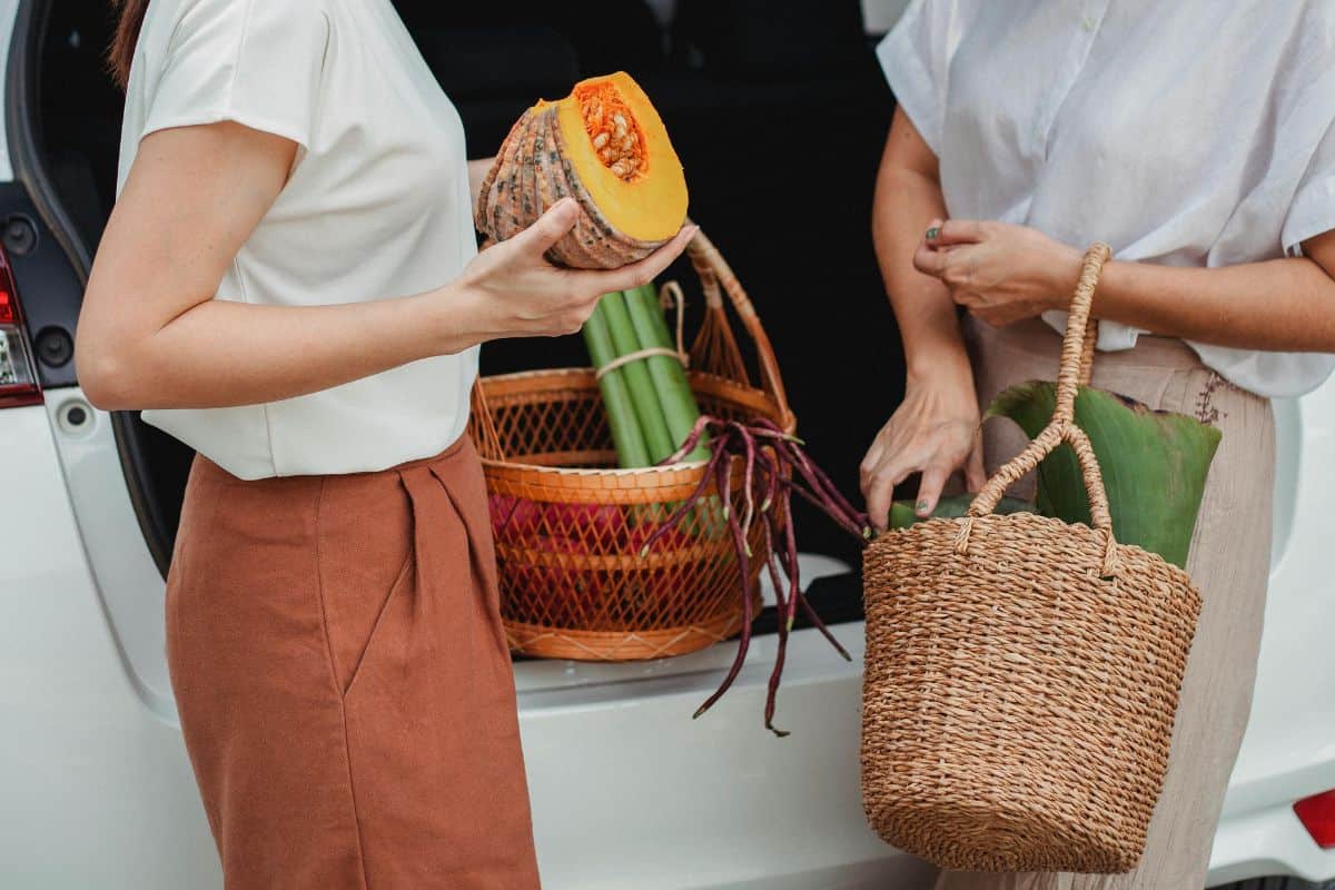 Travelers unloading fresh groceries from a car trunk