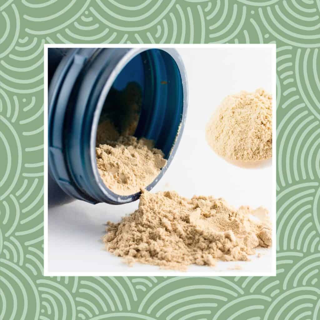 The Vegan Protein Powders I Recommend