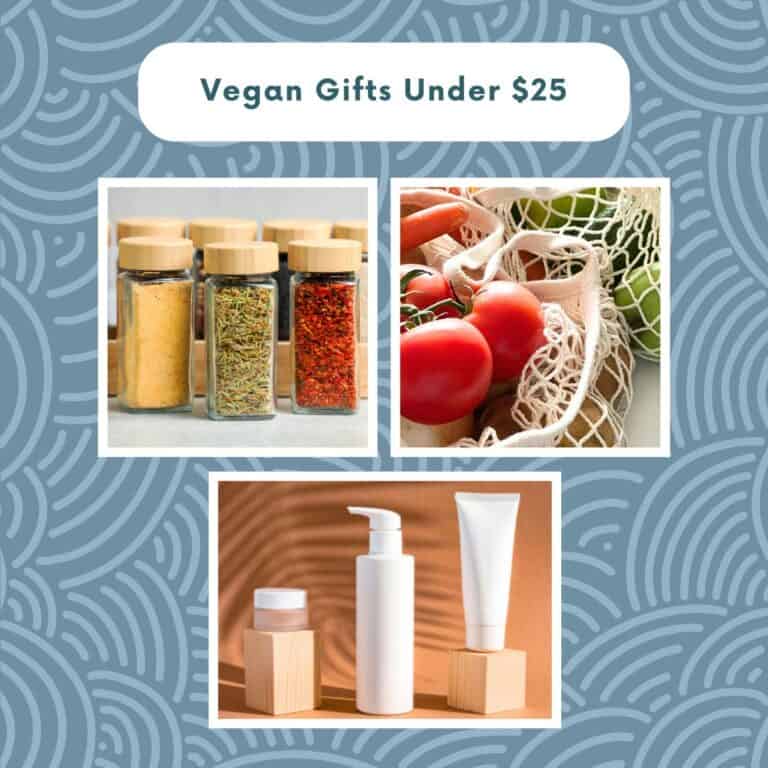 Vegan Gifts Under $25