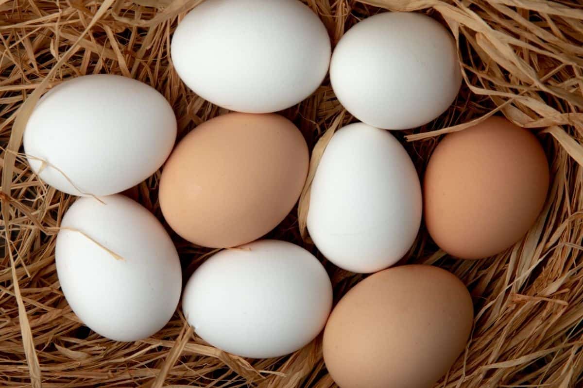 White and brown eggs arranged in a straw nest.